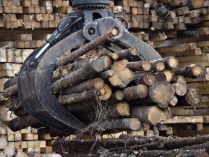 Wood prices on the rise